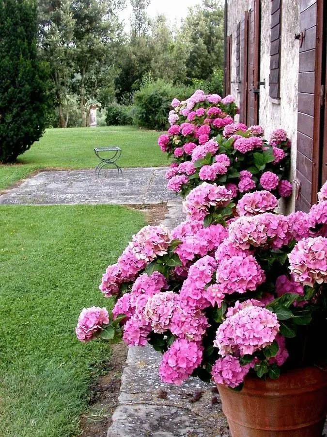 Country house Villa Giuncheto Corsano